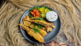 Tere tulemast Pärnu Meritindi Festivalile!