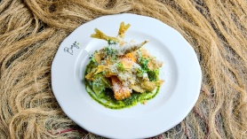 Tere tulemast Pärnu Meritindi Festivalile!