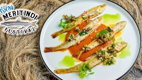 Tere tulemast Pärnu Meritindi Festivalile!