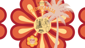 Siluett moeetendus Tropikaalia