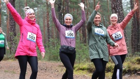 Luitejooks_Kairi Lumberg