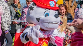 Striidikool kevadjooks