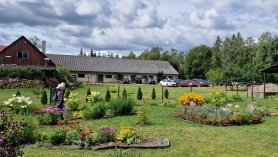 Väline liblikaaed