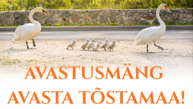 Avasta Tõstamaad mäng