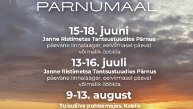 Janne Ristimetsa Tantsustuudio Suvelaager