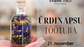 Ürdinapsu töötuba