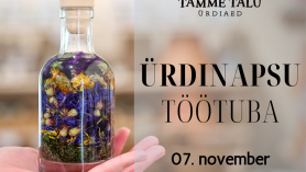 Ürdinapsu töötuba